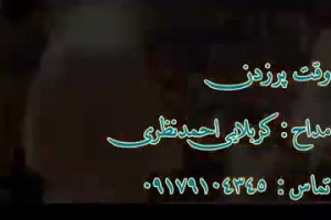 نوحه شهادت حضرت علی وقت پر زدن احمد نظری