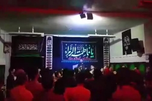 شب آخر فاطميه 95 - كشور بلژيك - شور - دخیلک یا عباس