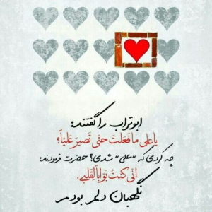 نرگس شکوری