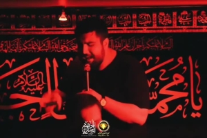 ارباب بی حرم  شام شهادت امام جواد علیه السلام