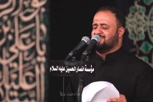 میکنم گریه تا وقتی که زندم - دانلود مداحی واحد قصیده استودیویی علی سعید الوائلی - حسینیه انصارالحسین