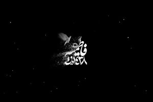 شب دوم فاطميه 95 - هيئت ريحانة الحسين - روضه - نمونده راهی تا خونه