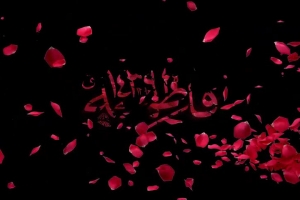 28 بهمن 96 - ریحانه الحسین - زمینه - گفتم میاد بابا