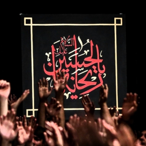 محب الحسین (ع)