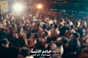 شهادت امام حسن(ع) - شور - حب الحسن اجننی تو عقیق یمنی