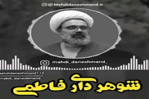 استاد دانشمند - سخنرانی - شوهرداری فاطمی