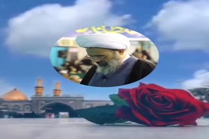 امام حسین علیه السلام حلال مشکلات است