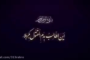 دوباره می تپد دلم...