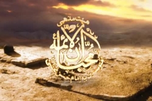 ولادت امام جواد (ع) 96 - هیئت محبان الائمه - شور - مرغ دل زده بال و پر