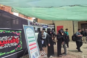 کلیپ نوکری زوار اربعین 1404