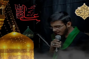 نماهنگ  علی موسی الرضا  سید حسین شجیرات