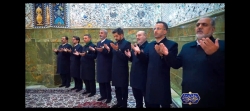 خادم الزینب س