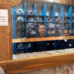 خادمی مسجدجمکران