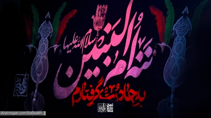 گزارش تصویری مراسم ایام زیارت مخصوصه امام رضا (ع) - کربلایی حسین ستوده