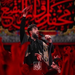گزارش تصویری مراسم شهادت حضرت زینب (س) 26 دی ماه 1403 - کربلایی حسین ستوده - محفل زوارالبقیع طهران