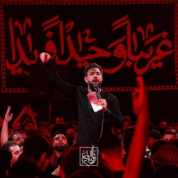 گزارش تصویری مراسم شهادت حضرت زینب (س) 26 دی ماه 1403 - کربلایی حسین ستوده - محفل زوارالبقیع طهران