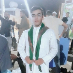 سید حسین شجیرات