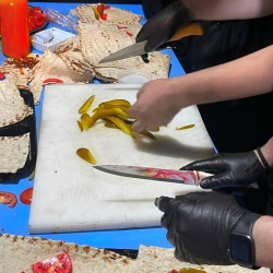 موکب ریحانة الحسین س دیزج شیخ مرجان