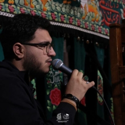 طاها پرنلو