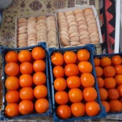 هیئت انصار الحیدر زنجان