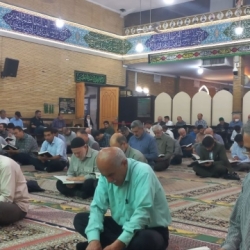 مراسم شام میلاد امام رضا (ع)