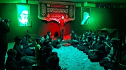 نیما شاه تقی