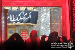 گزارش تصویری دهه سوم محرم آستان مقدس امامزاده سید محمد علیه السلام قصردشت شیراز