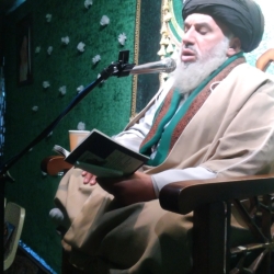 سید احمد رضا اخروی