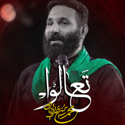 نماهنگ تعالوا کربلایی محمدحسین حدادیان
