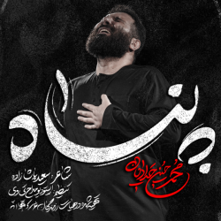 نماهنگ پناه کربلایی محمدحسین حدادیان