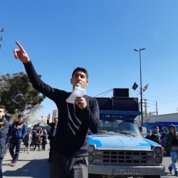 مداح نو جوان با صدایی گرم و زیبا کربلایی سید محمد حسن ال اقا