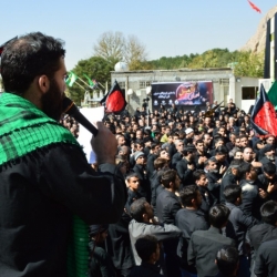 کربلایی محمد مهدی  دستمزد