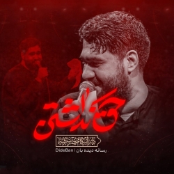 نماهنگ حق نداشتن کربلایی حسن عطایی