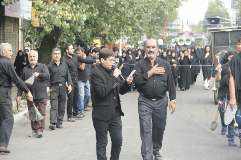 سید مهدی علوی