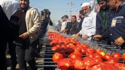 گزارش تصویری از مواکب مستقردرمسیربستان ومرزچزابه