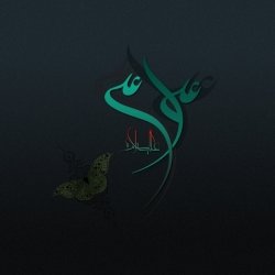 علی ولی الله