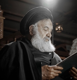 سید احمد نجفی10-10