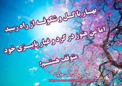 بهار آمد ولی