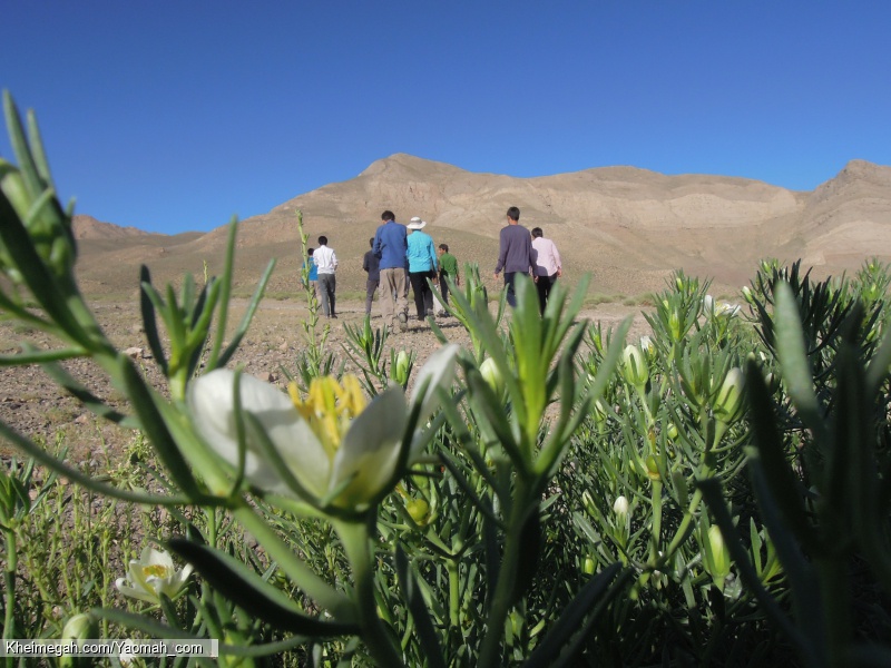 اردوی فرهنگی تفریحی روستای ندوشن تابستان 1397