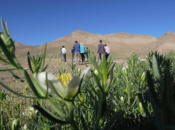 اردوی فرهنگی تفریحی روستای ندوشن تابستان 1397