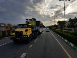 برگزاری جشن ولادت حضرت مهدی