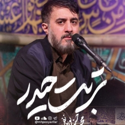 تربت حیدر - نماهنگ مداحی استودیویی دلم گرفته از این روزگار زجرآور محمدحسین پویانفر