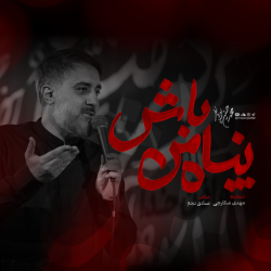 نماهنگ پناه من باش کربلایی محمدحسین پویانفر