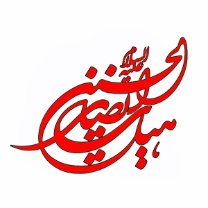 هیات انصارالحسین (ع)