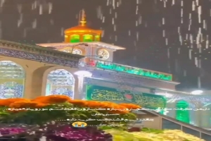 کربلایی امیرحسین محمدی