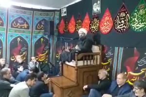 غربت امام رضاعلیه السلام