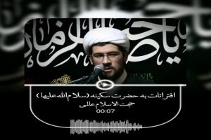 افترائات به حضرت سکینه سلام الله علیها حجت الاسلام عالمی هیئت معزالمومنین