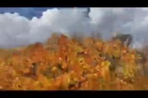 اردوگاه ابوذر همدان (میعاد گاه سردار شهید سعید قهاری سعید) شماره تماس پذیرش ۰۹۱۰۹۰۸۵۵۷۱