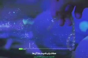 منشأ صفات رذیله