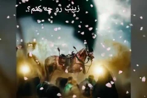 حسین و عباس رو کشتن، زینب رو چه کنم؟